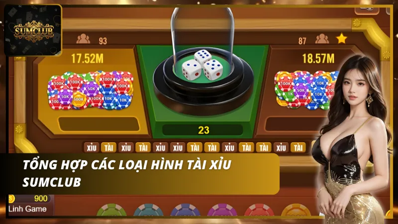 Tổng hợp các loại hình phổ biến tại Sumclub