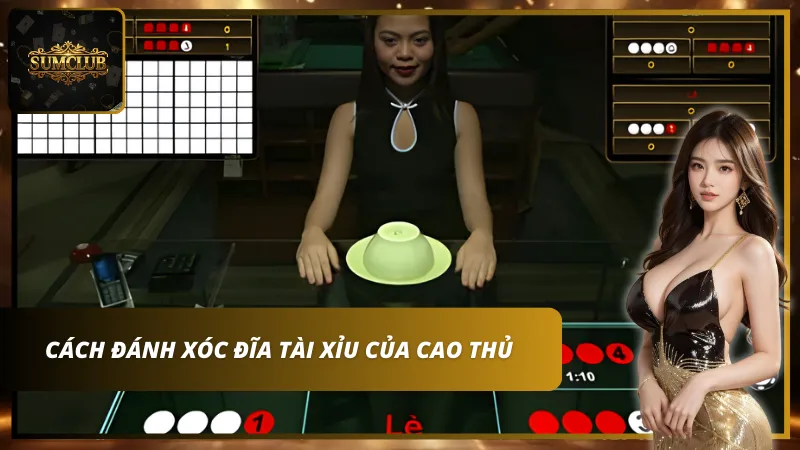 Cách đánh xóc đĩa tài xỉu của cao thủ